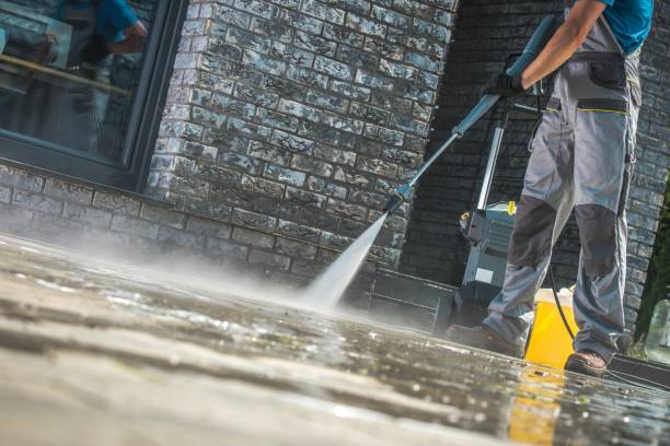 Best Animal Enclosure Cleaning  in Bloomingburg, OH